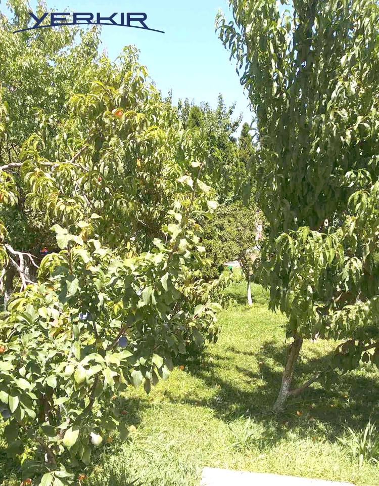 Առանձնատներ Կոդ` 6+50936