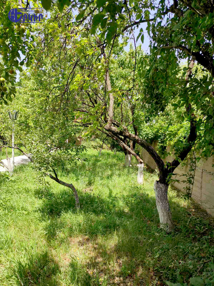 Дома Код 6+503890