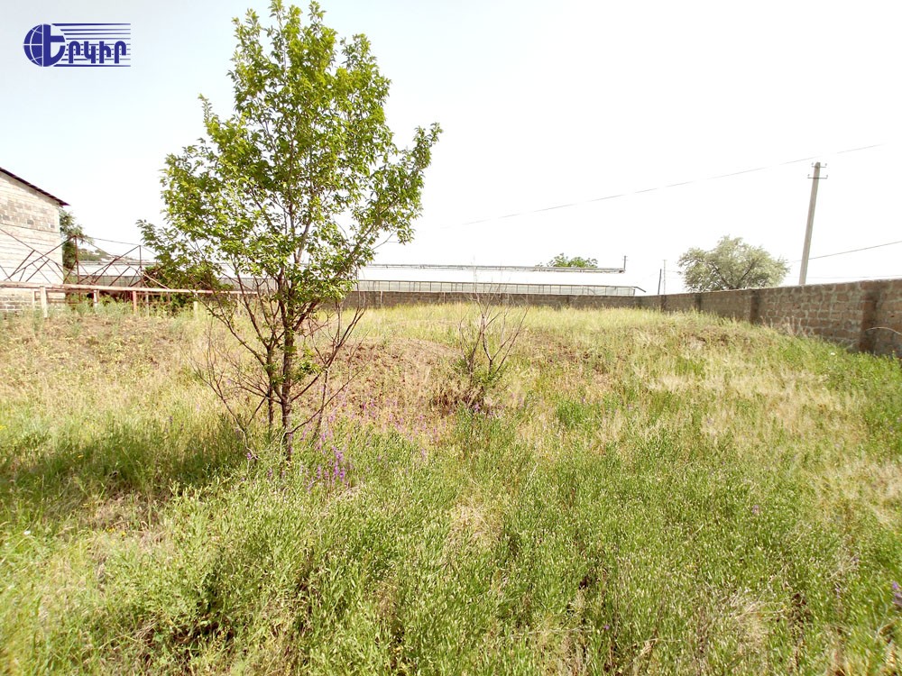 Houses Code: 3+502970