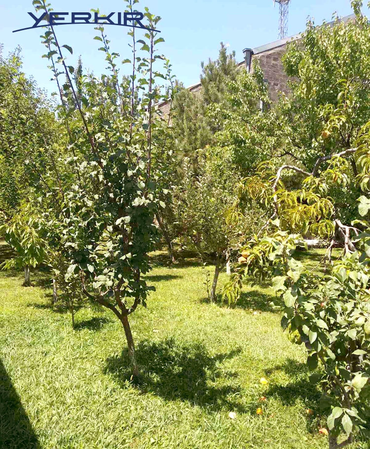 Առանձնատներ Կոդ` 6+50936