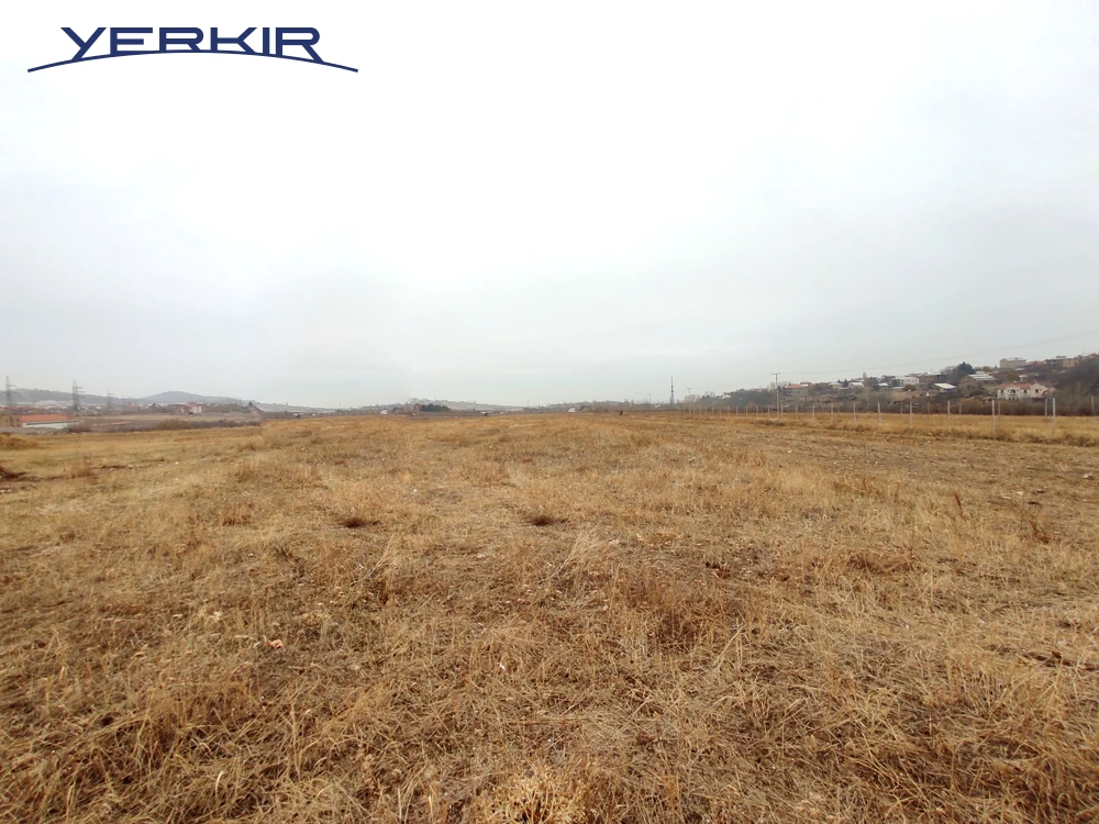 Հողատարածք Կոդ` 8+606684