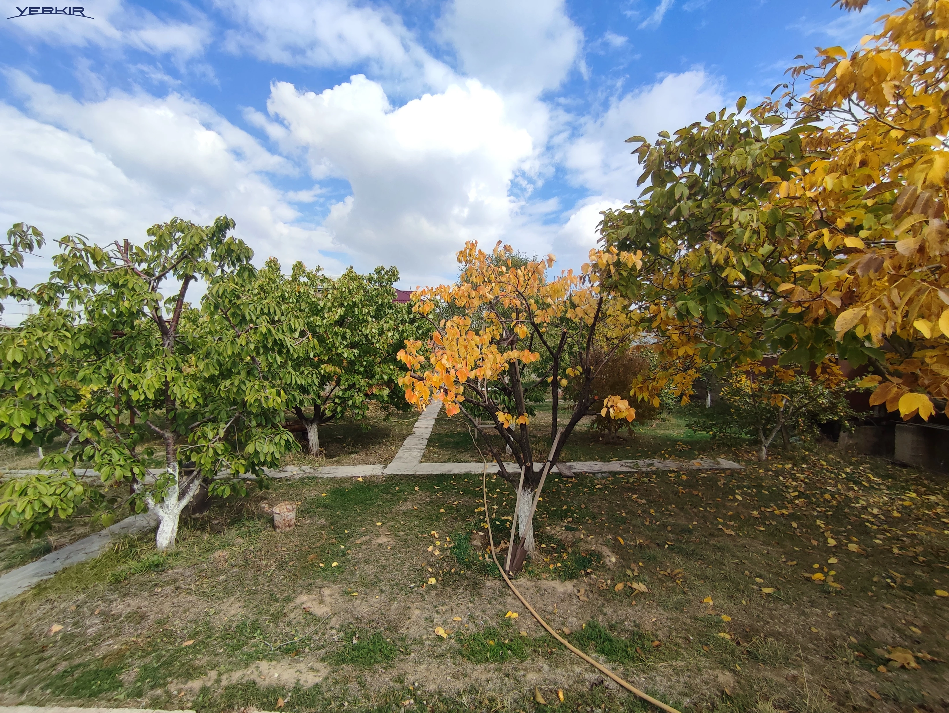 Houses Code: 9+513648