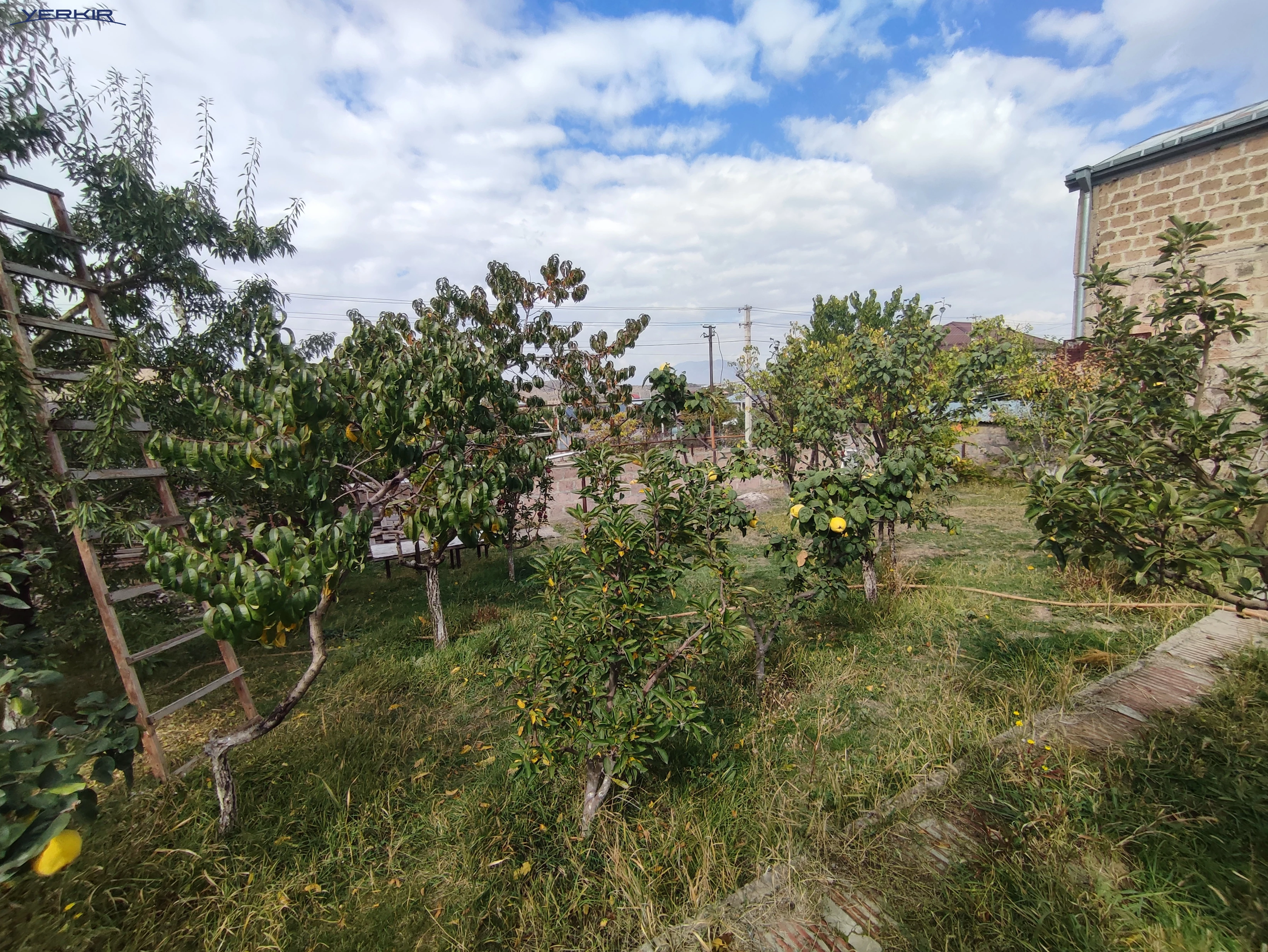 Дома Код 9+513648