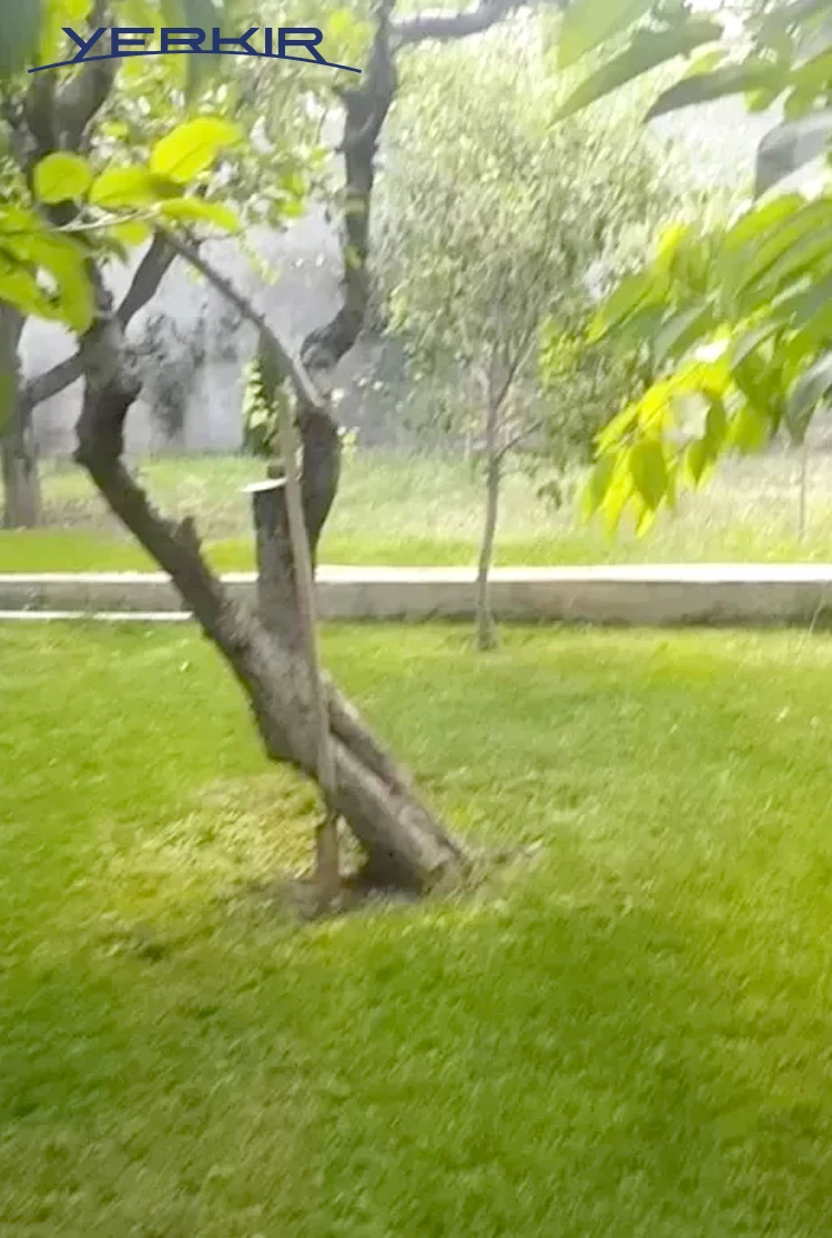 Առանձնատներ Կոդ` 9+50009-dp48