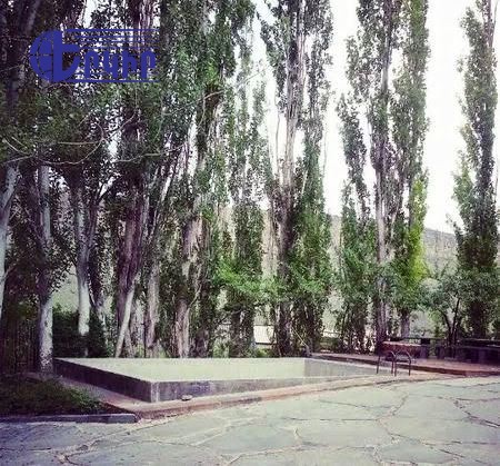 Առանձնատներ Կոդ` 2+50015